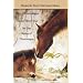 read the very best horse books for girls out there!