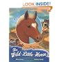 The Wild Little Horse
