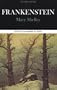 Frankenstein: Complete, Authoritative Text With Biographical, Historical, and Cultural Contexts, Critical History, and Essays from Contemporary Critical perspective (Case Studies in Contemporary Criticism)