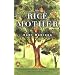 Fabulous Fiction