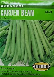 Kentucky Wonder Bean Seeds 65 Seeds