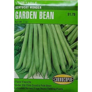 Beans