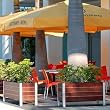 Mariner Planter Box 42inches with Zephyr Aluminum Banding by DeepStream Designs