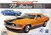 Revell 1/24 70 Ford Mustang Mach 2n1 Special Edition