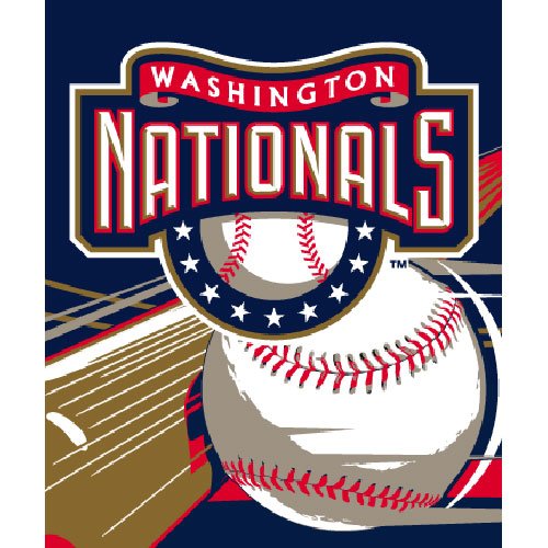 Washington Nationals MLB Royal Plush Raschel Blanket (Big Stick Series) (50x60