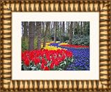 Picture Frame Gold w/ Red .. 2.5'' wide