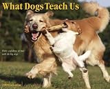 What Dogs Teach Us 2009 Wall Calendar