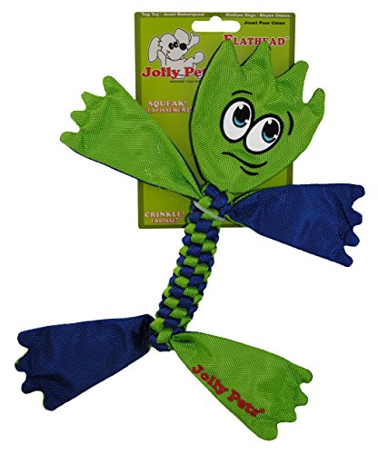Jolly Pets Flathead Tug/Squeak Toy, Medium
