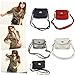 Fashion Story Women Mini Small Adjustable Crossbody Satchel Shoulder Handbag (Black)