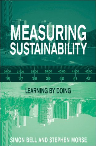 Measuring Sustainability: Learning by Doing