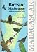 Books : Birds of Madagascar: A Photographic Guide