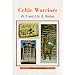 Celtic Warriors (Shire Archaeology)