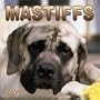 Mastiffs 2004 Calendar