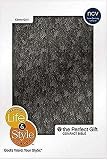 Life & Style Compact Bible - Ebony Quill: Fall Line 2005