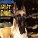 Great Dane Calendar 2000 (Aspca Dog and Cat Breed Series)