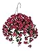 House of Silk Flowers Artificial Violet/Fuchsia Bougainvillea Hanging Basket