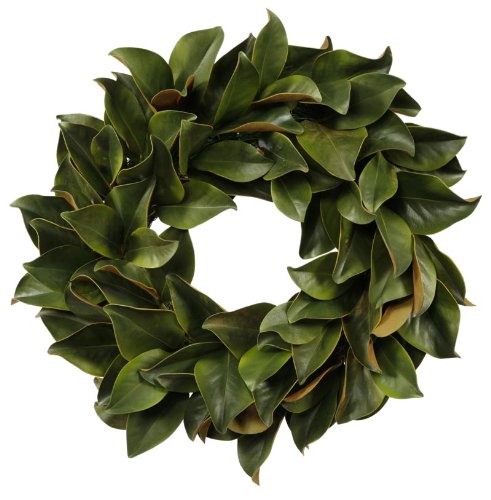 Wreath Magnolia Leaf 24'' Green