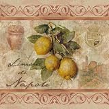 Zitronen aus Neapel von Thomas L. Cathey, 21x21