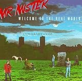 Welcome to the Real World - Mr. Mister