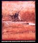 Variations in Time/Nathan Oliveira/Monotypes and Monoprints