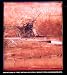 Search : Variations in Time/Nathan Oliveira/Monotypes and Monoprints