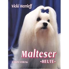 Malteser heute