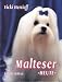 Image of Malteser heute