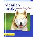 Siberian Husky: PraxisRatgeber