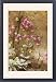 Framed Prints of Dittany; source of a popular herbal tea from Ardea Wildlife Pets