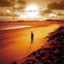 Landslide (Lonely For The First Time Album Version)