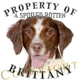 Brittany Mousepad Dog Mouse Pad Property Of