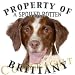 Brittany Mousepad Dog Mouse Pad "Property Of"