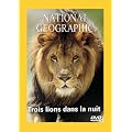 National Geographic : Trois lions dans la nuit