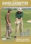 David leadbetter simple secrets/great golf dvd