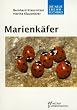 Marienk�fer: Coccinellidae