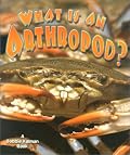 What Is an Arthropod? (Science of Living Things)