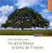 Une annee avec les plus beaux arbres de France