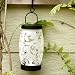 Search : white frosted etch lantern