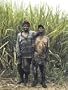 Africa Remix: Contemporary Art of a Continent