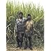Africa Remix: Contemporary Art of a Continent