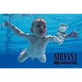 Empire 347275 Nirvana Nevermind Alternative - Musik Poster Druck - 91.5 x 61 cm