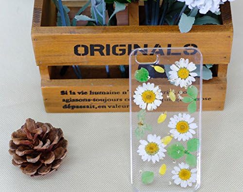 Real Flowers Phone Case for Iphone 6 Case
