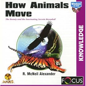 How Animals Move