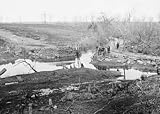 The Guns of Bull Run PLUS The Guns of Shiloh