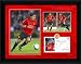 Carlos Tevez 16x12'' Framed Player Profile, Manchester United.