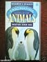 Fascinating World of Animals Water & Ice