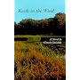 Reeds in the Wind