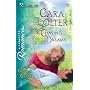 Chasing Dreams (Silhouette Romance)