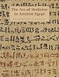 The Art of Medicine in Ancient Egypt (Metropolitan Museum of Art Series)