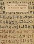 The Art of Medicine in Ancient Egypt